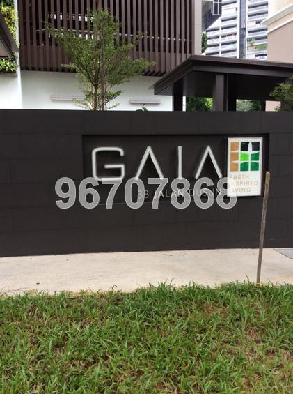 Gaia (D12), Apartment #75607812